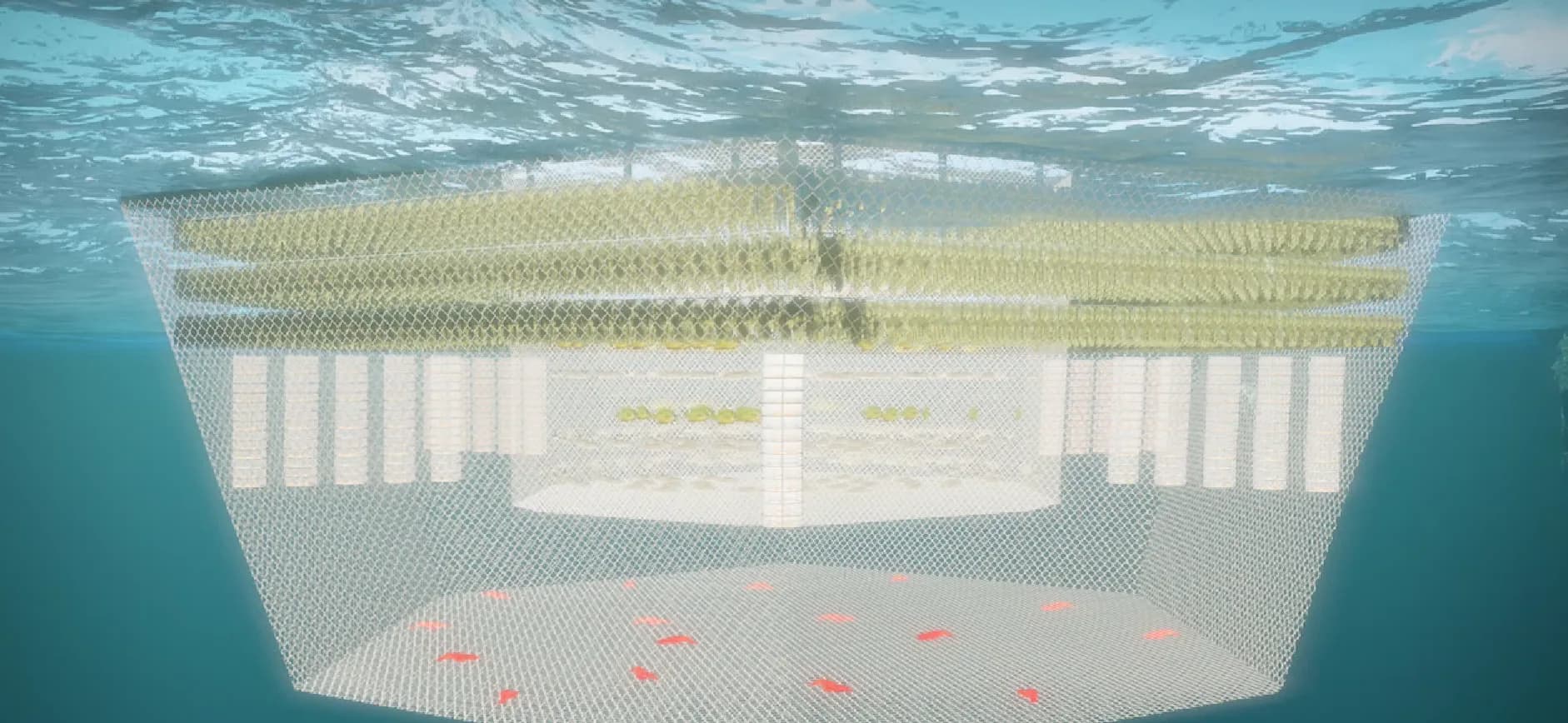 Underwater cutaway of a Hexafarm: three tiers of seaweed lines suspended under the surface, columns of shellfish baskets hanging inside the outer mesh, and lobsters on the netted floor below